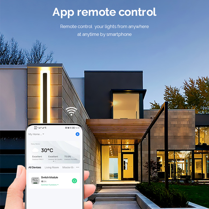 DIY  Wifi Smart Dimmer Switch  - огляд і ціна Smart Home Web